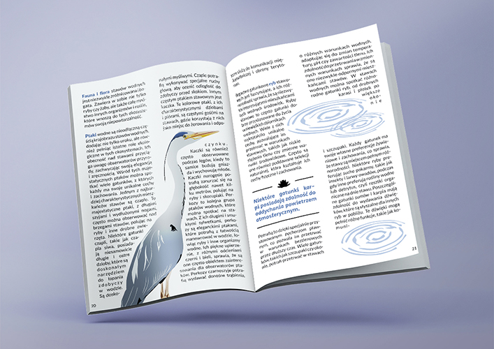 Mockup drugiej rozkładówki artykułu pt. ,,Tajemniczy Świat Stawów: Bogactwo Fauny i Flory,,