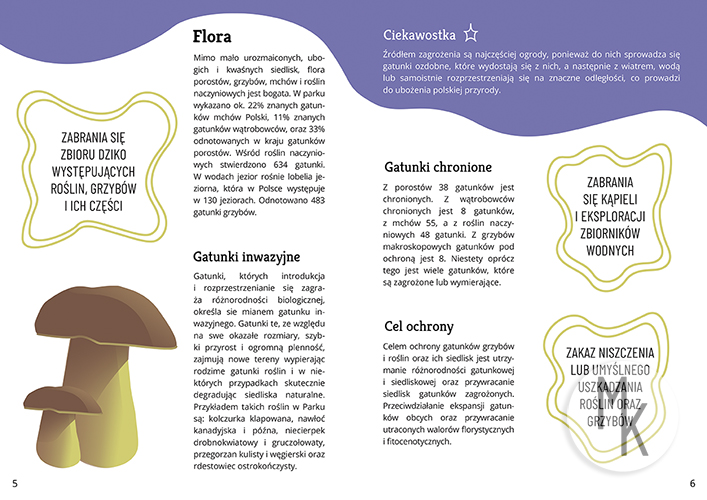 Rozkładówka przewodnika Borów Tucholskich - flora