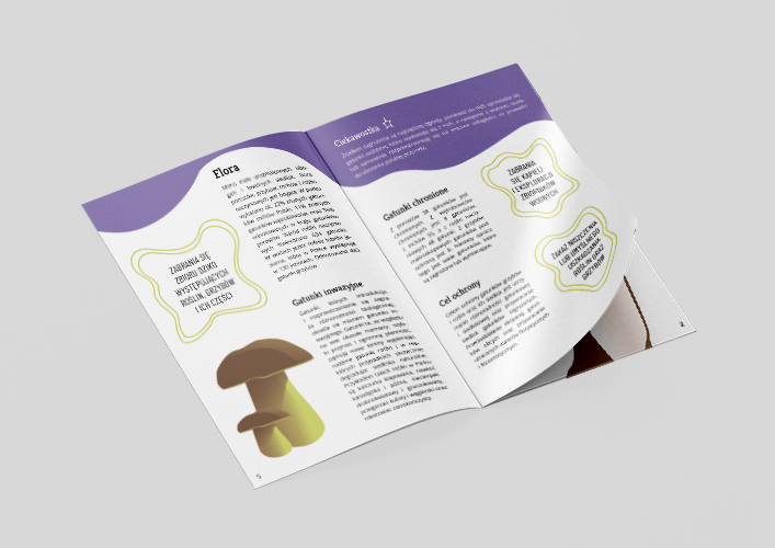 Wizualizacja rozkładówki przewodnika Borów Tucholskich - flora